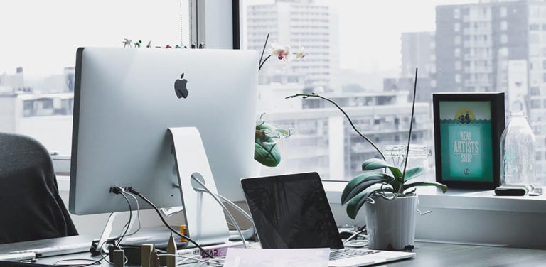 img 8 1000x490 1 768x376